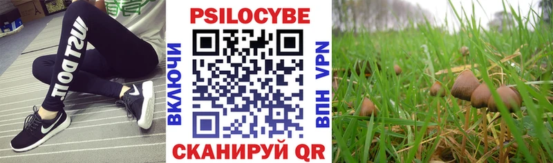 Псилоцибиновые грибы ЛСД  Махачкала 